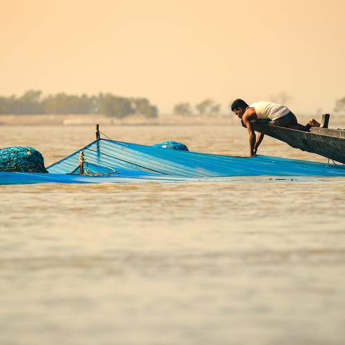 Photo #7757517