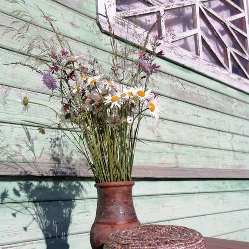Photo #7758676