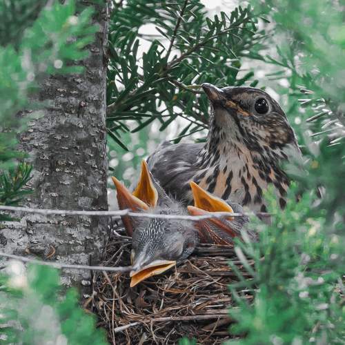 Photo #7759642