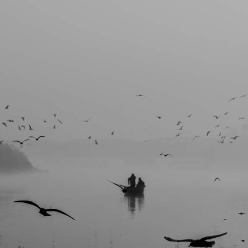 Photo #7759718