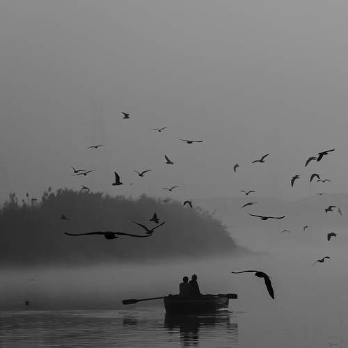 Photo #7759719