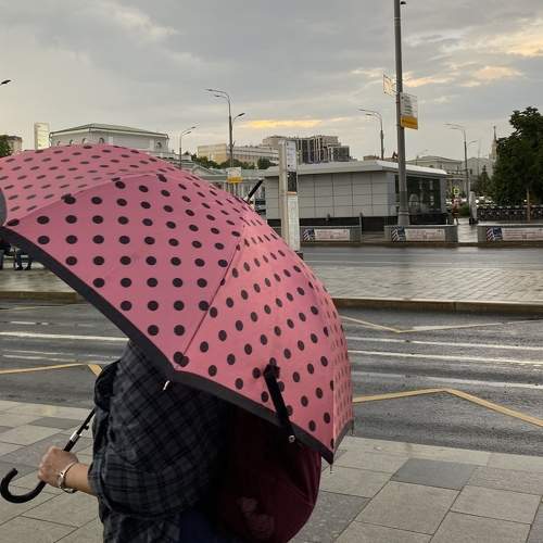 Photo #7759743