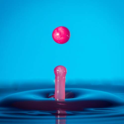 Photo #7759931