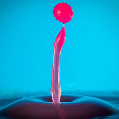 Photo #7759932