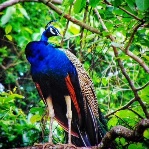 Photo #7760057