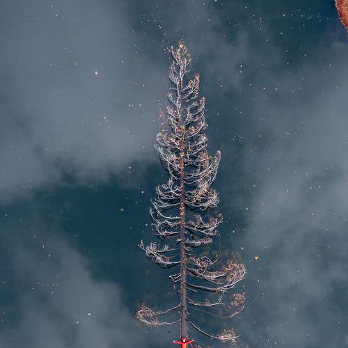 Wild lake