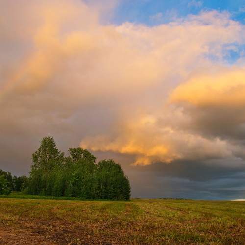 Photo #7760506
