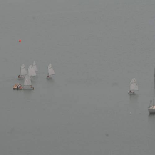 Photo #7760654