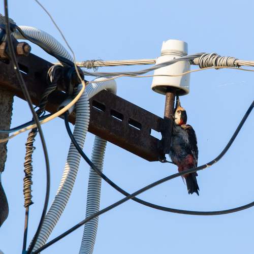 Photo #7761066