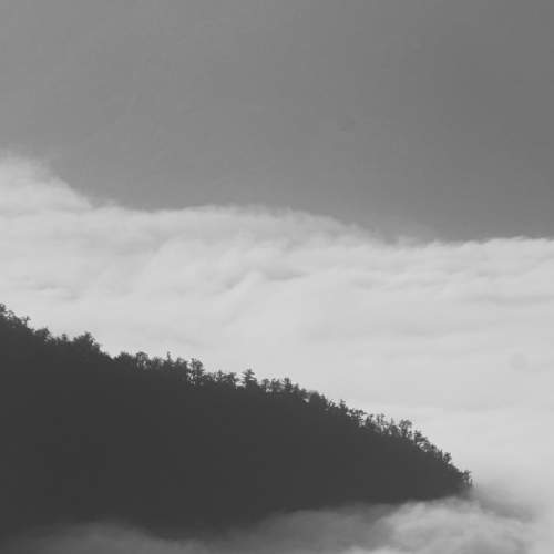 Photo #7761085