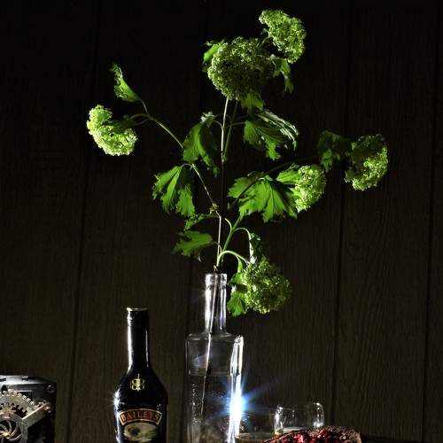 Photo #7761300