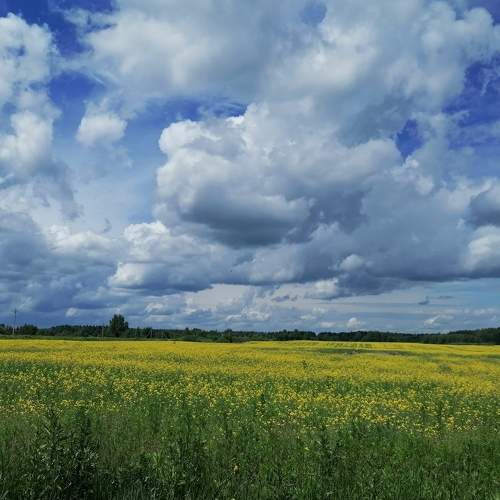 Photo #7761640