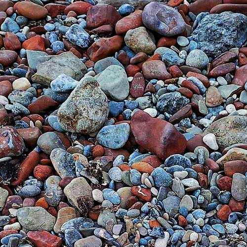 Photo #7762190