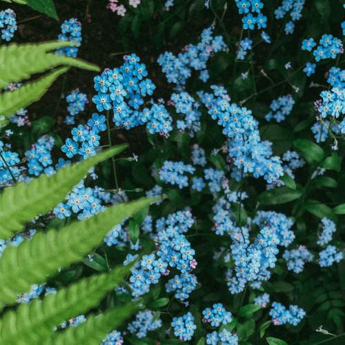 Photo #7762244