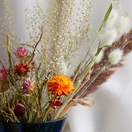 Photo #7762283