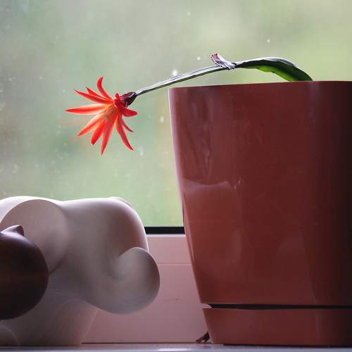 Photo #7762284