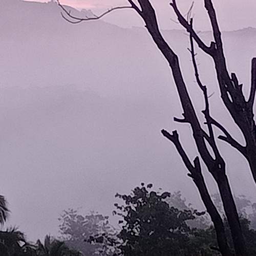 Photo #7762475