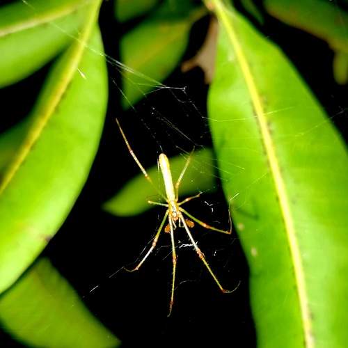 Photo #7762511