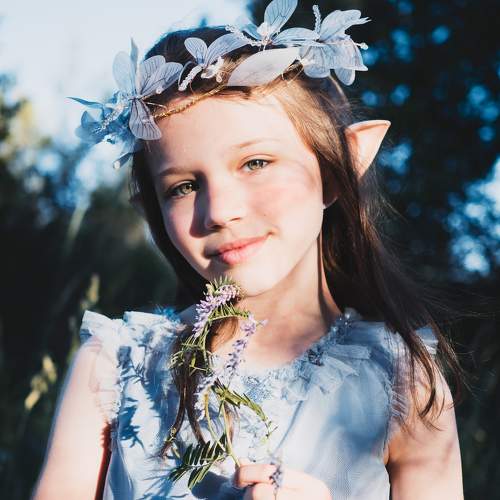 Photo #7762802