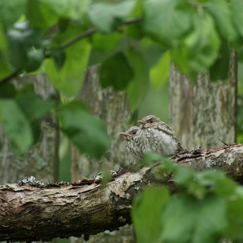 Photo #7762998