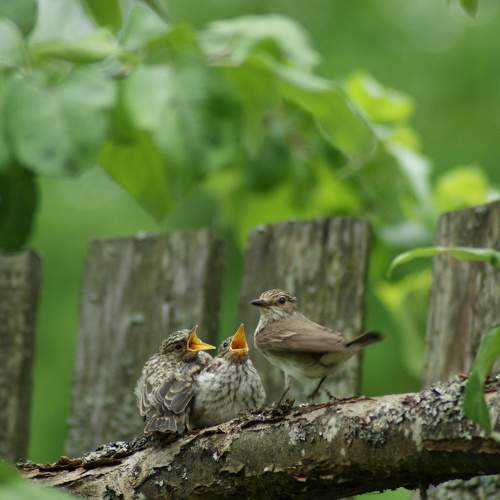 Photo #7762999