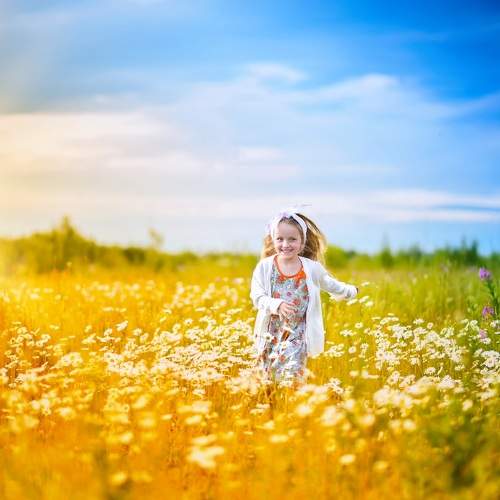 Photo #7763004