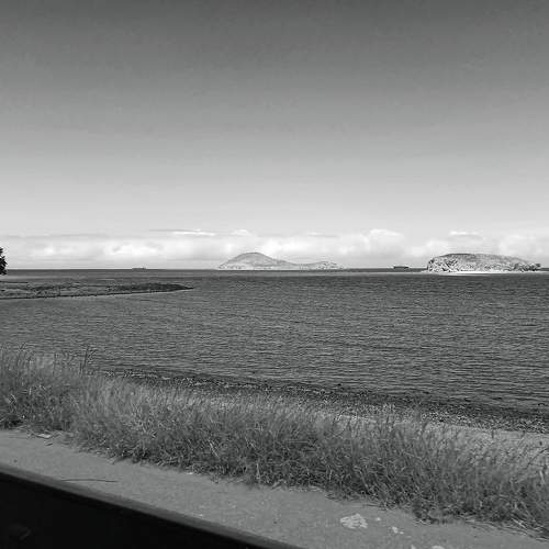 Photo #7763114
