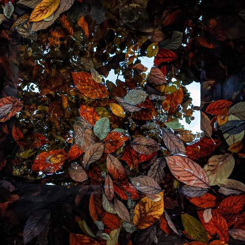 Photo #7763169