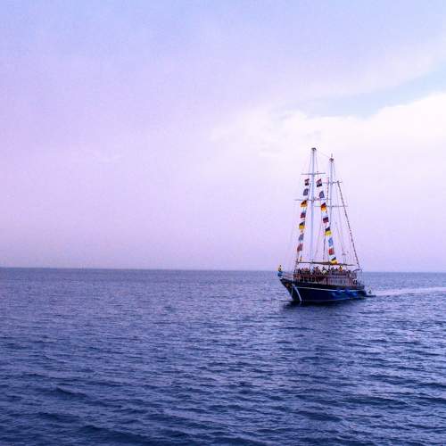Photo #7763739