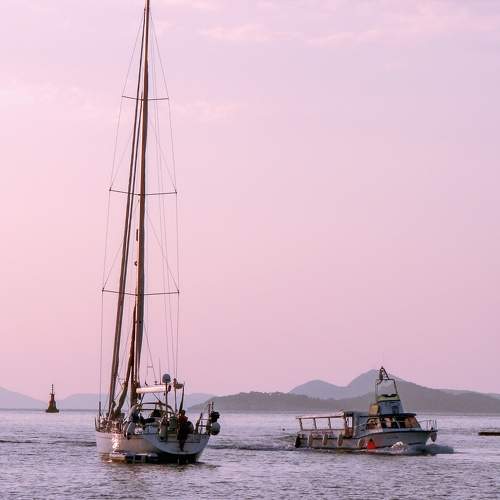 Photo #7763744