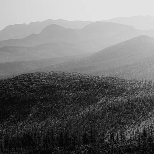 Photo #7763765