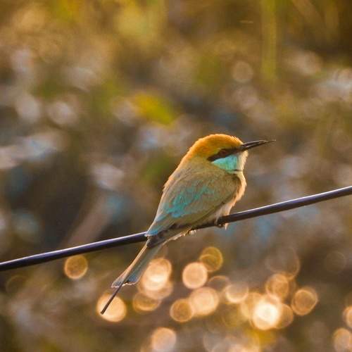 Photo #7764139
