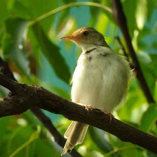 Photo #7764152