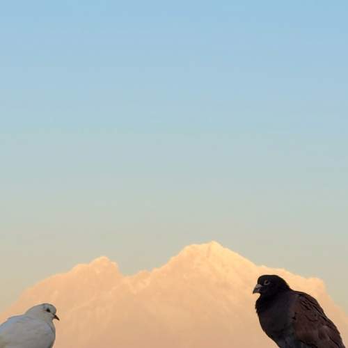 Photo #7764155