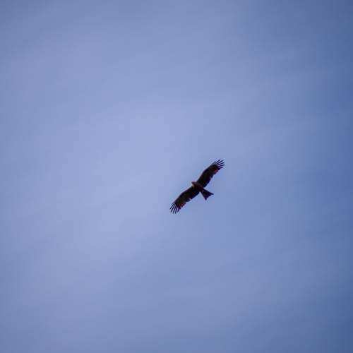 Photo #7764174
