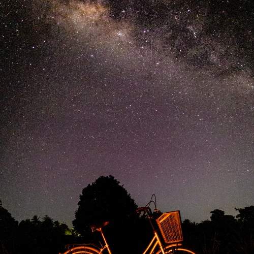 Photo #7764358