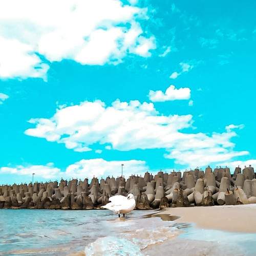 Photo #7764729