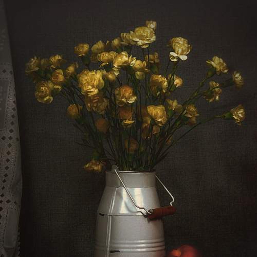 Photo #7764837