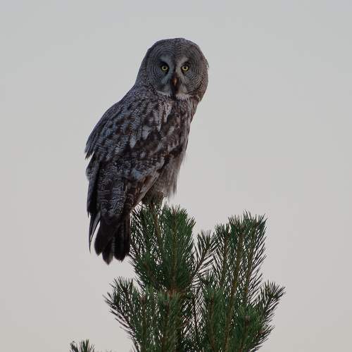 Photo #7766180