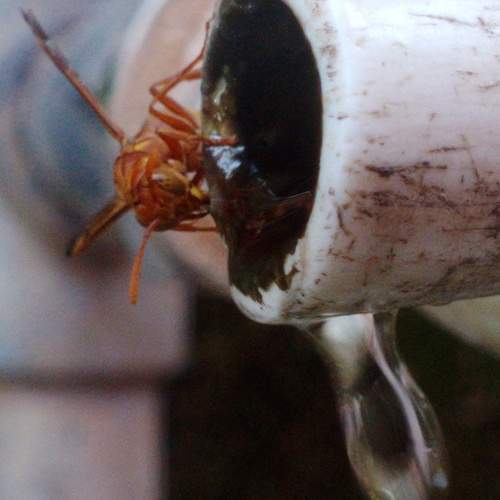Water for Life!