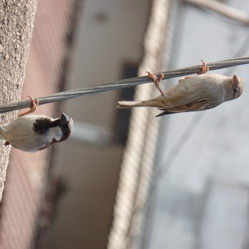 Photo #7766345