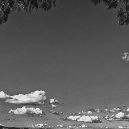Photo #7766911