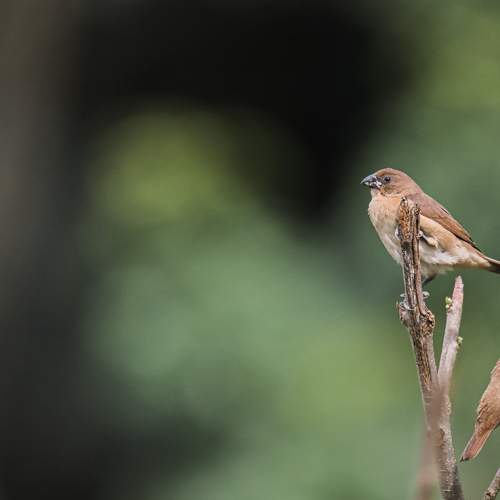 Photo #7767012