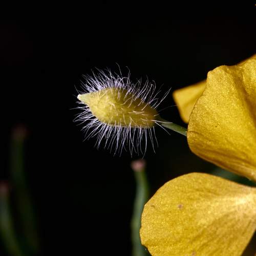 Photo #7767334