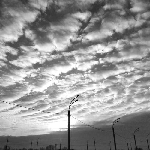 Photo #7767432