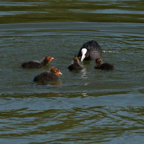 Photo #7767451