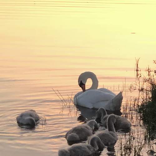 Photo #7767461