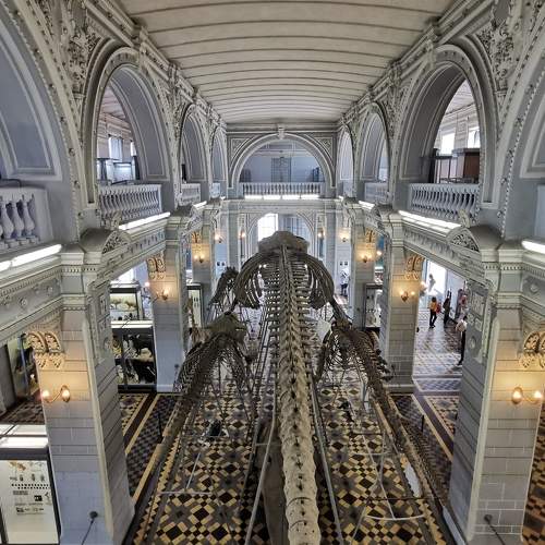 Photo #7767515
