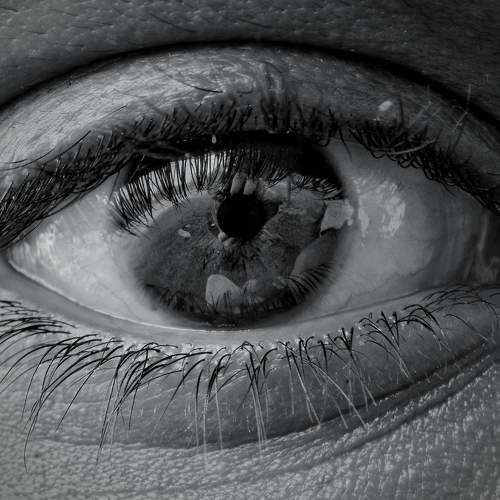 Photo #7767719