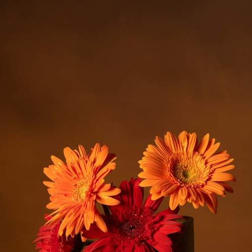 Photo #7767929